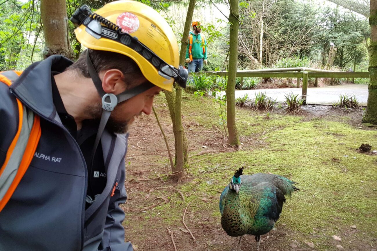 Installation of soundproof cladding on commercial roof