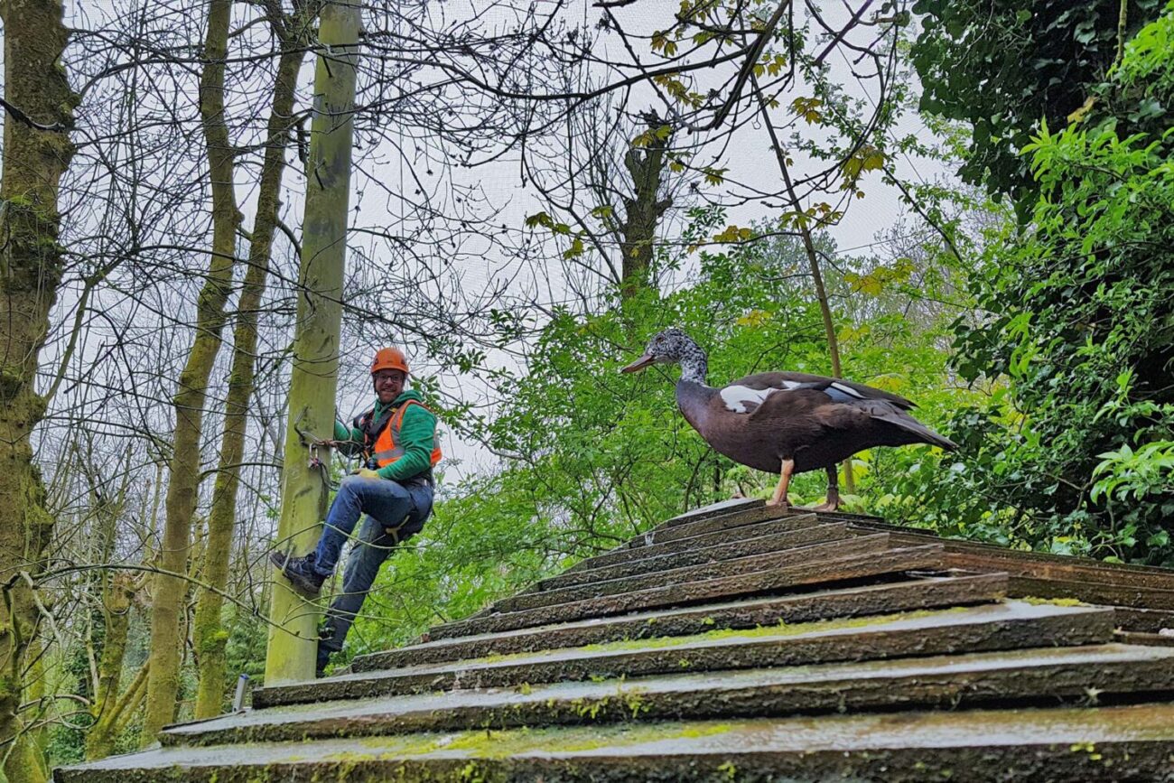 Rope access engineer carrying out building repairs in Bristol