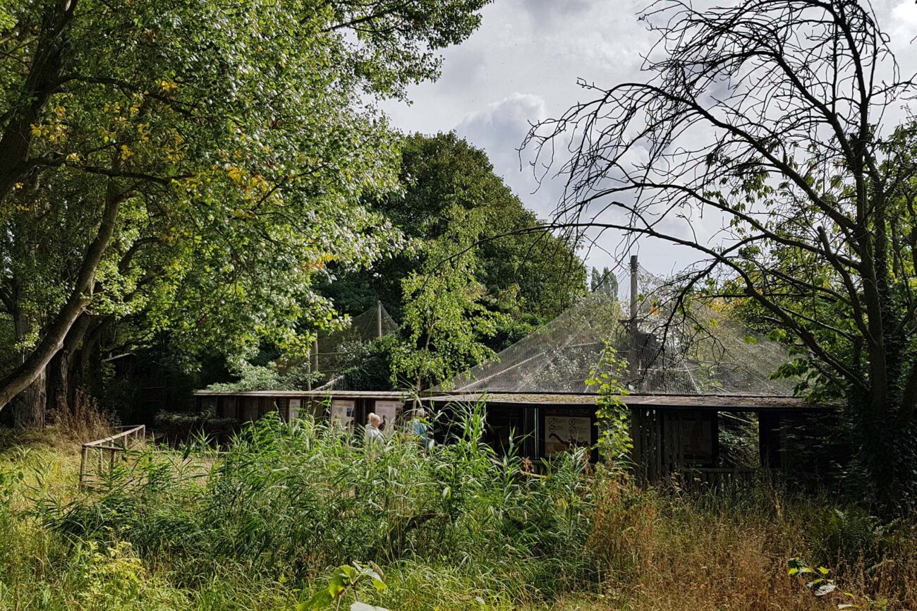 Close-up of tensile structure fabric installation