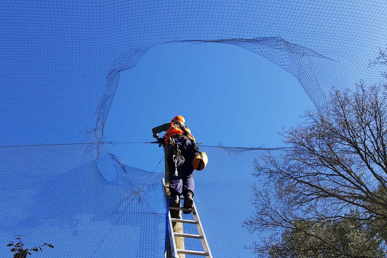 Structural inspection of steel frame using rope access