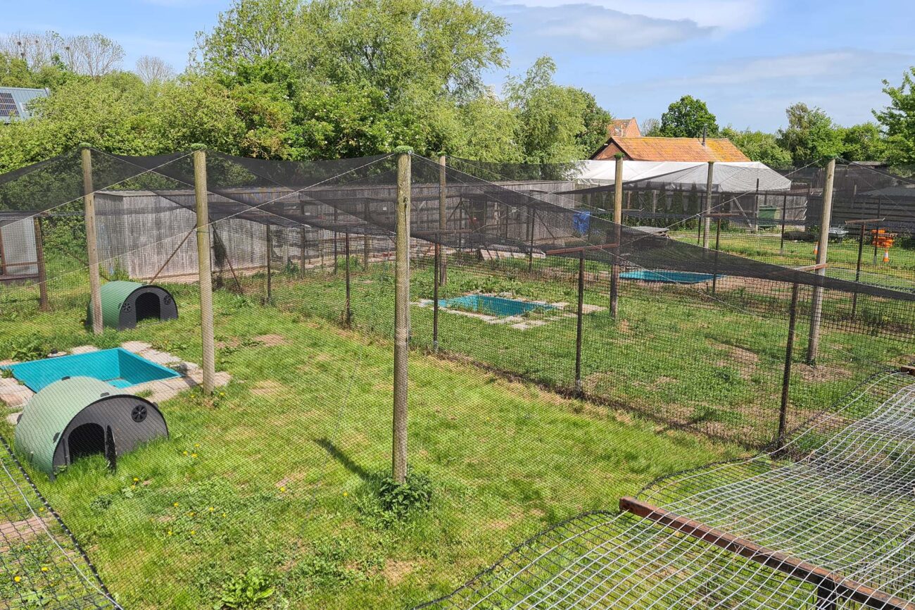 Aerial view of rope access engineers on industrial site