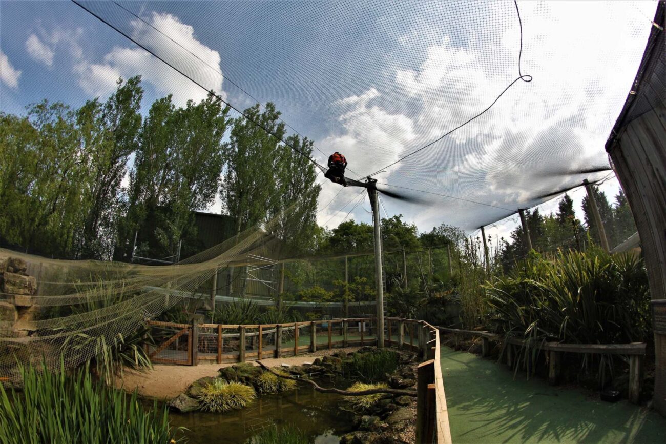 Structural inspection of steel frame using rope access