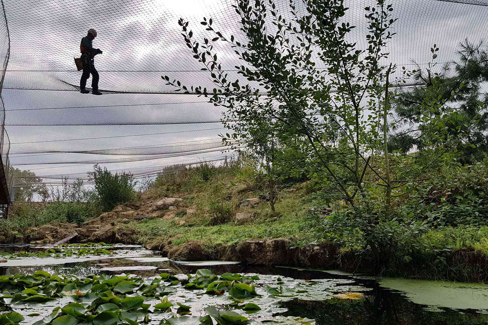 Structural inspection of steel frame using rope access