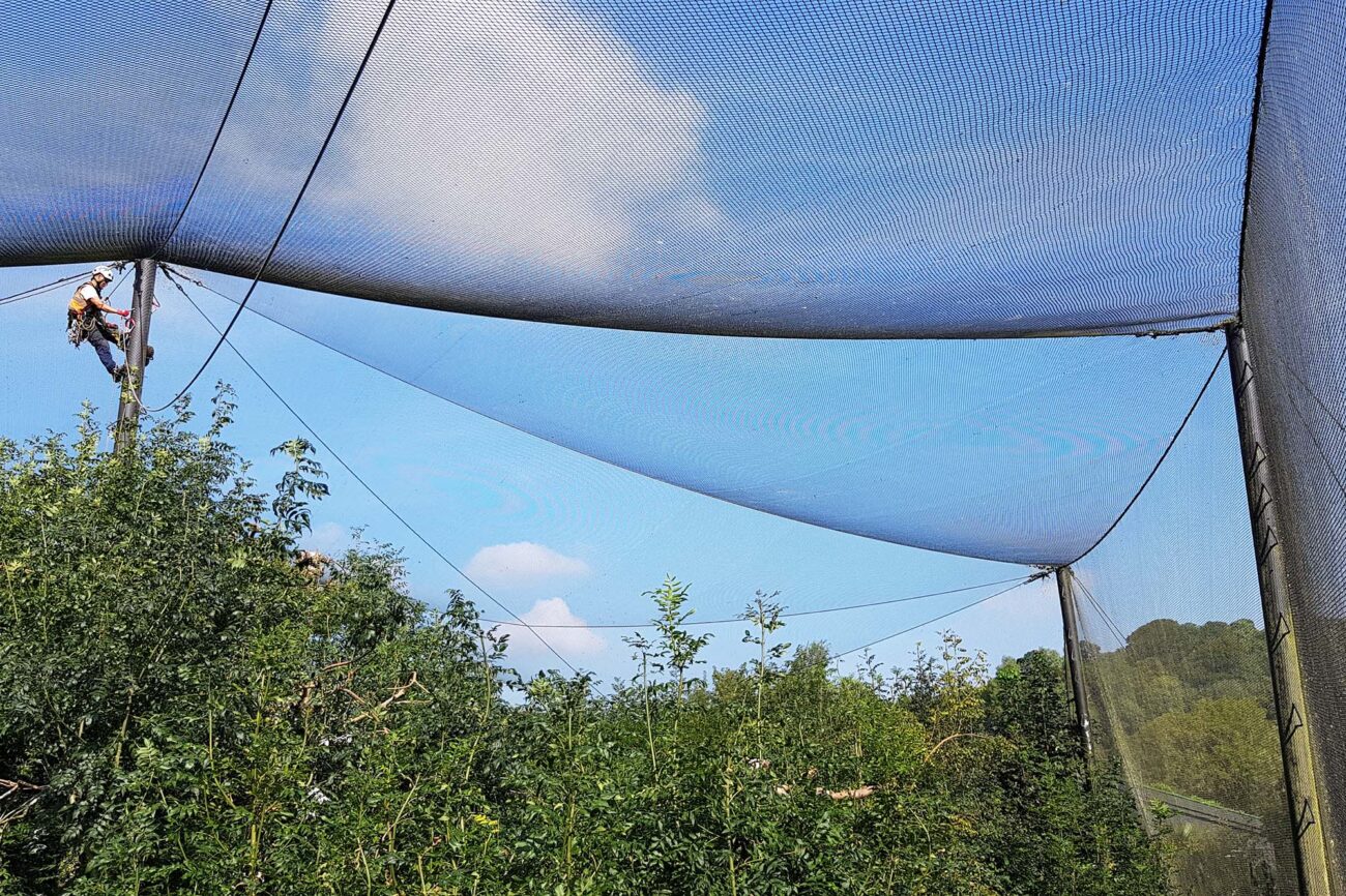 Rope access technicians working on a high-rise building in Bristol